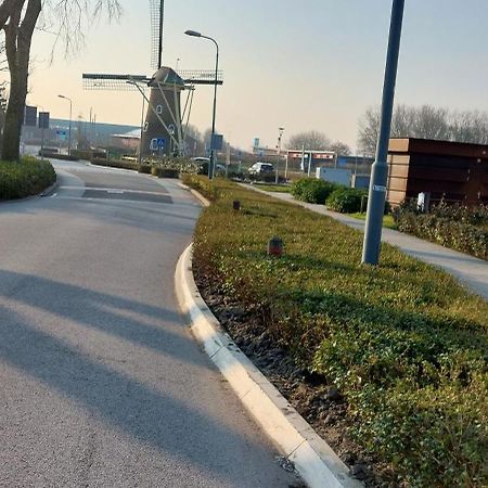 Vila Wijngaardstraat 7A Domburg Exteriér fotografie
